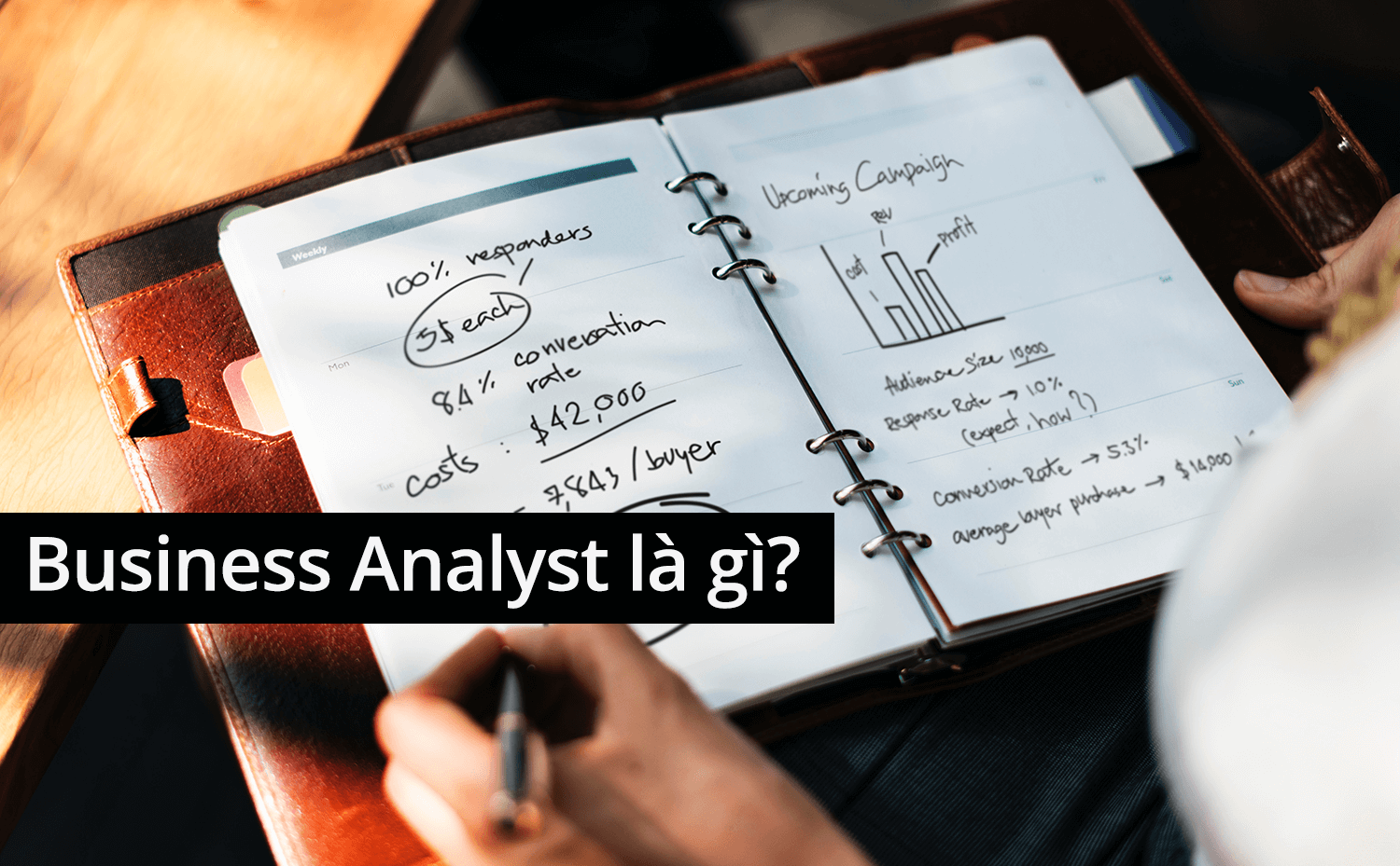 Business Analyst làm việc trong các lĩnh vực nào?
